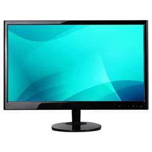19 inch LCD Video Surveillance Monitor